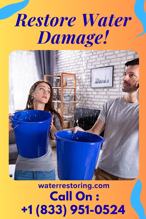water restoration Precision Water Removal Crew Wernersville