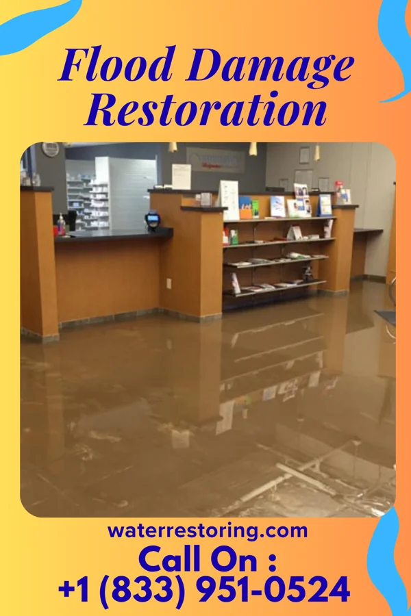 Flood Damage Restoration in Wernersville, PA