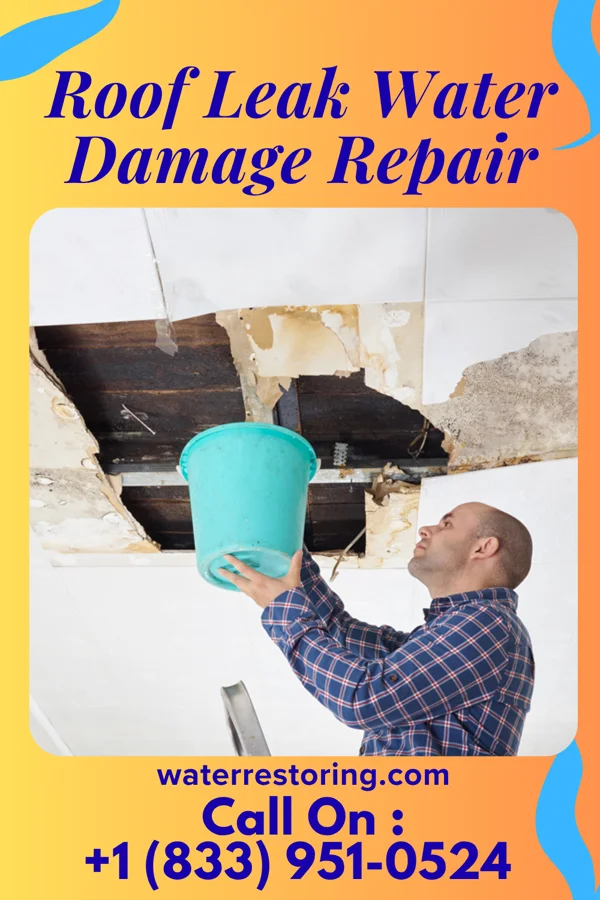 Roof Leak Water Damage Repair in Wernersville, PA