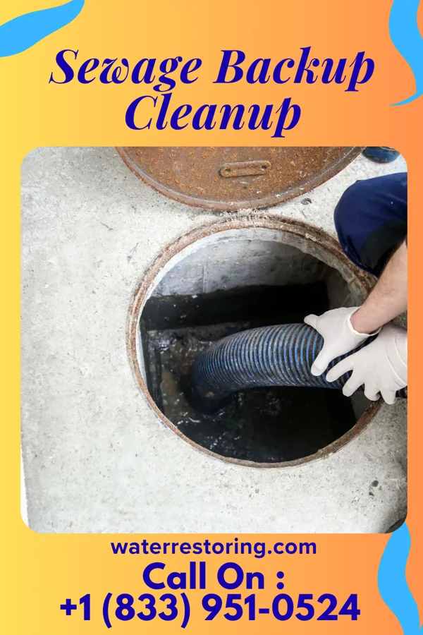 Sewage Backup Cleanup in Wernersville, PA