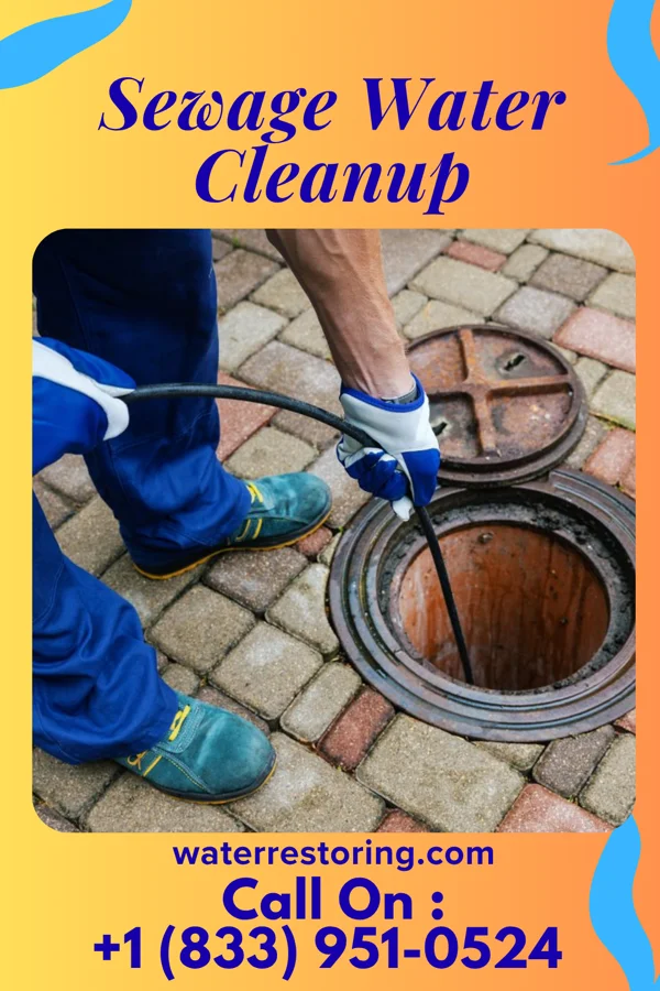 Sewage Water Cleanup in Wernersville, PA