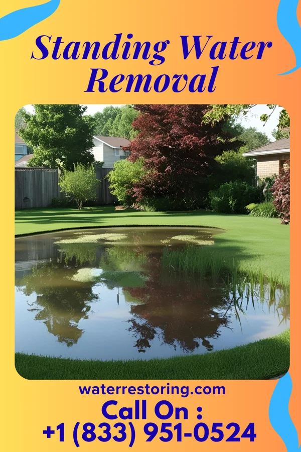Standing Water Removal in Wernersville, PA